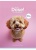 Füzet, tűzött, A5, vonalas, 48 lap, SHKOLYARYK "Nice to meet you", vegyes